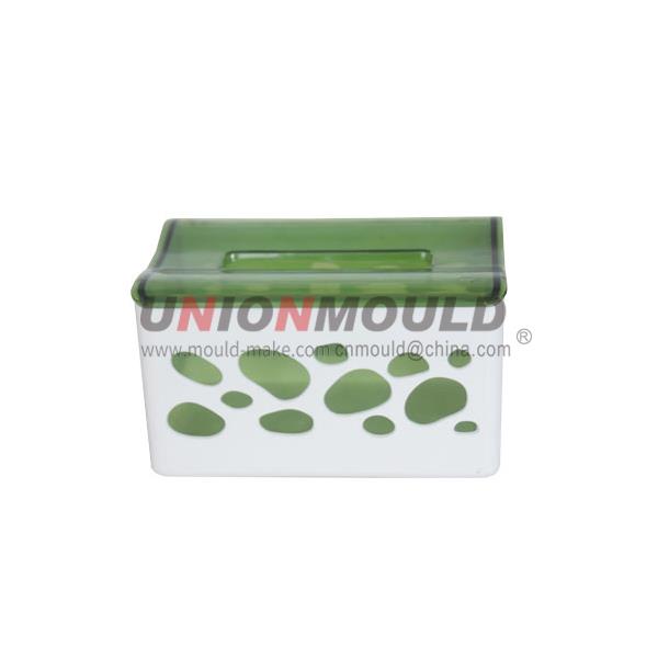 Household Mold2