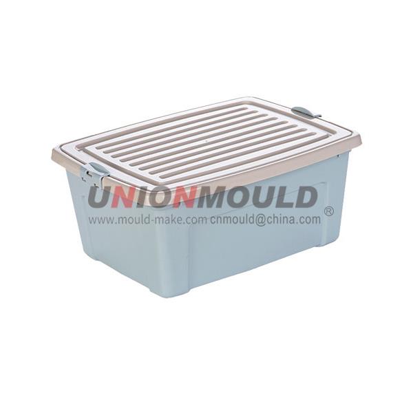 Storage Box Mold6